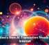 Tether&rsquo;s New AI Translation Needs No Internet